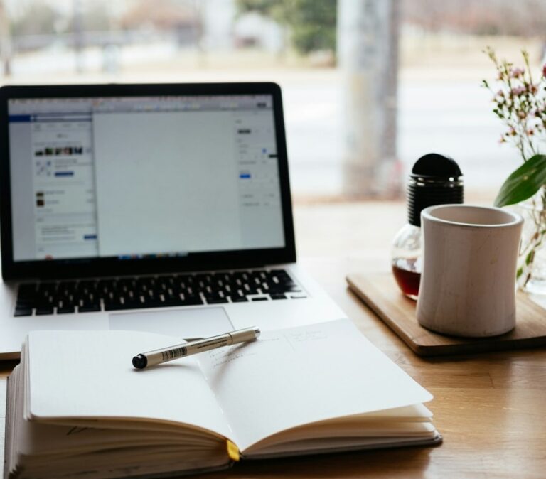 Is Public Management a Good Career in South Africa? | iQ Academy
